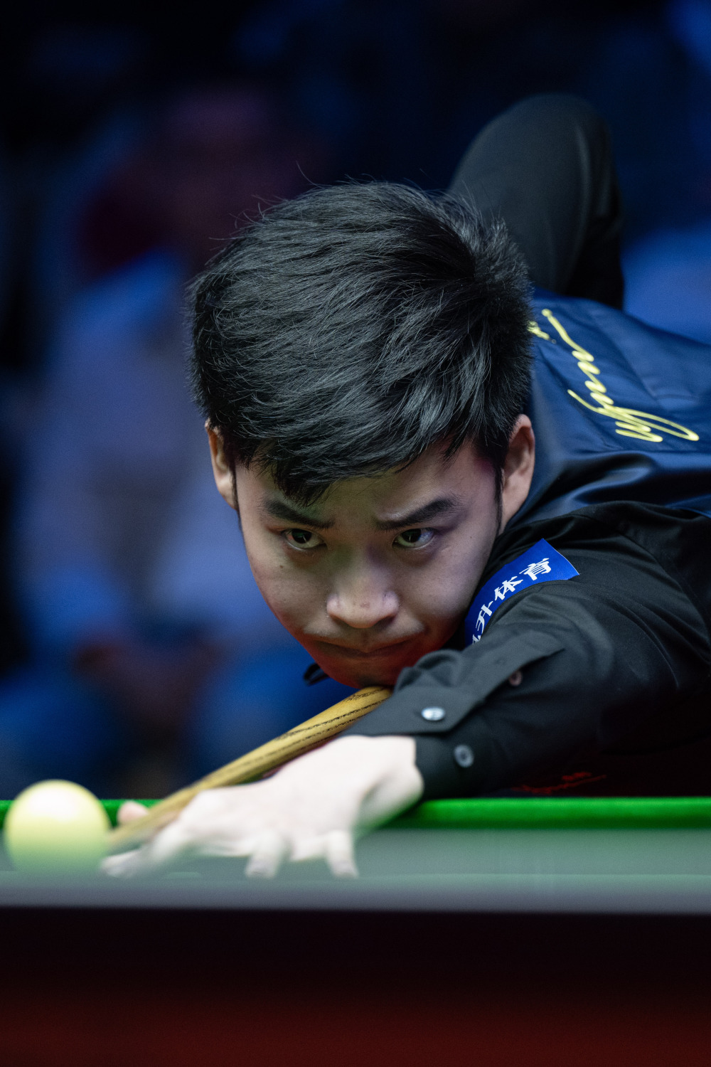 尽管多特素 尽管多特素