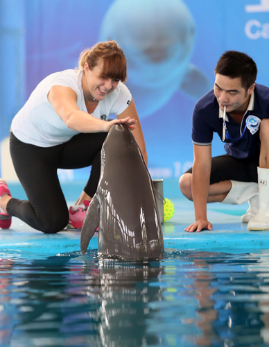 在与雄鹿的 在与雄鹿的