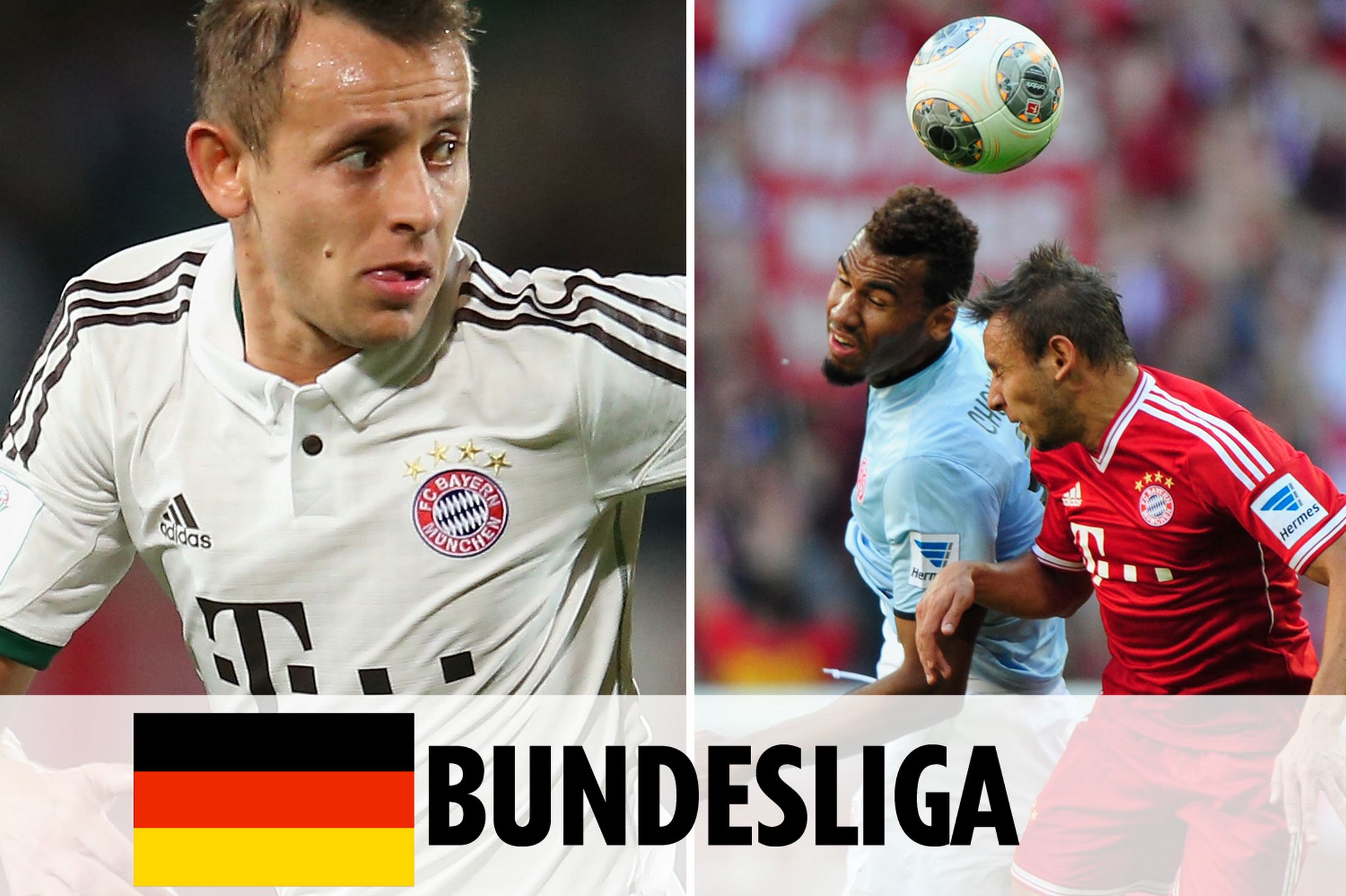 度凝聚力成 度凝聚力成