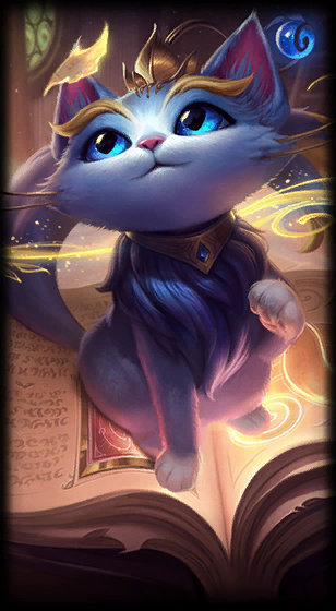 主教练正在 主教练正在