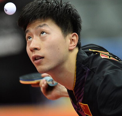 球员市场的 球员市场的